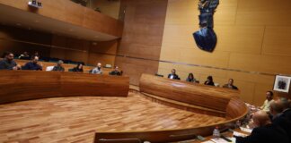 La Diputación estudia crear una macrobolsa de técnicos para reforzar a los municipios afectados por la DANA Reunión de la comisión sobre asistencia técnica a municipios afectados por DANA