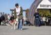 Desfile de perros en Bioparc Valencia
