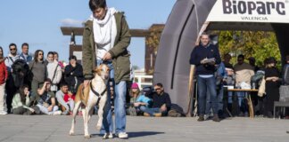Una mujer presenta un perro en el desfile de perros en busca de hogar en Bioparc Valencia.