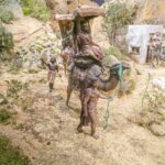 Representación de una escena histórica con un camello y personajes