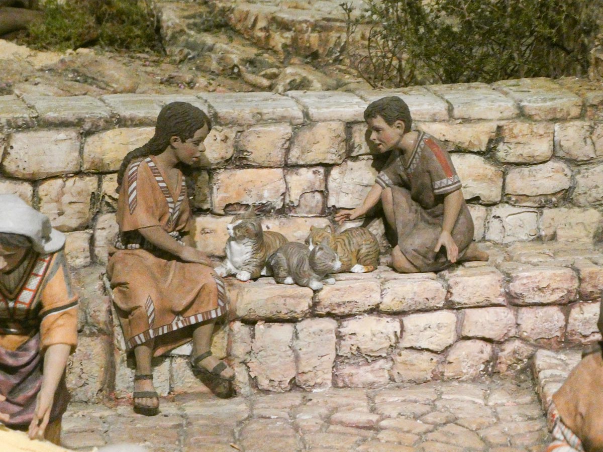 Niños jugando con gatos en un entorno rural