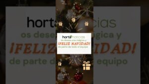 Mensaje navideño de Hortanoticias con decoración festiva