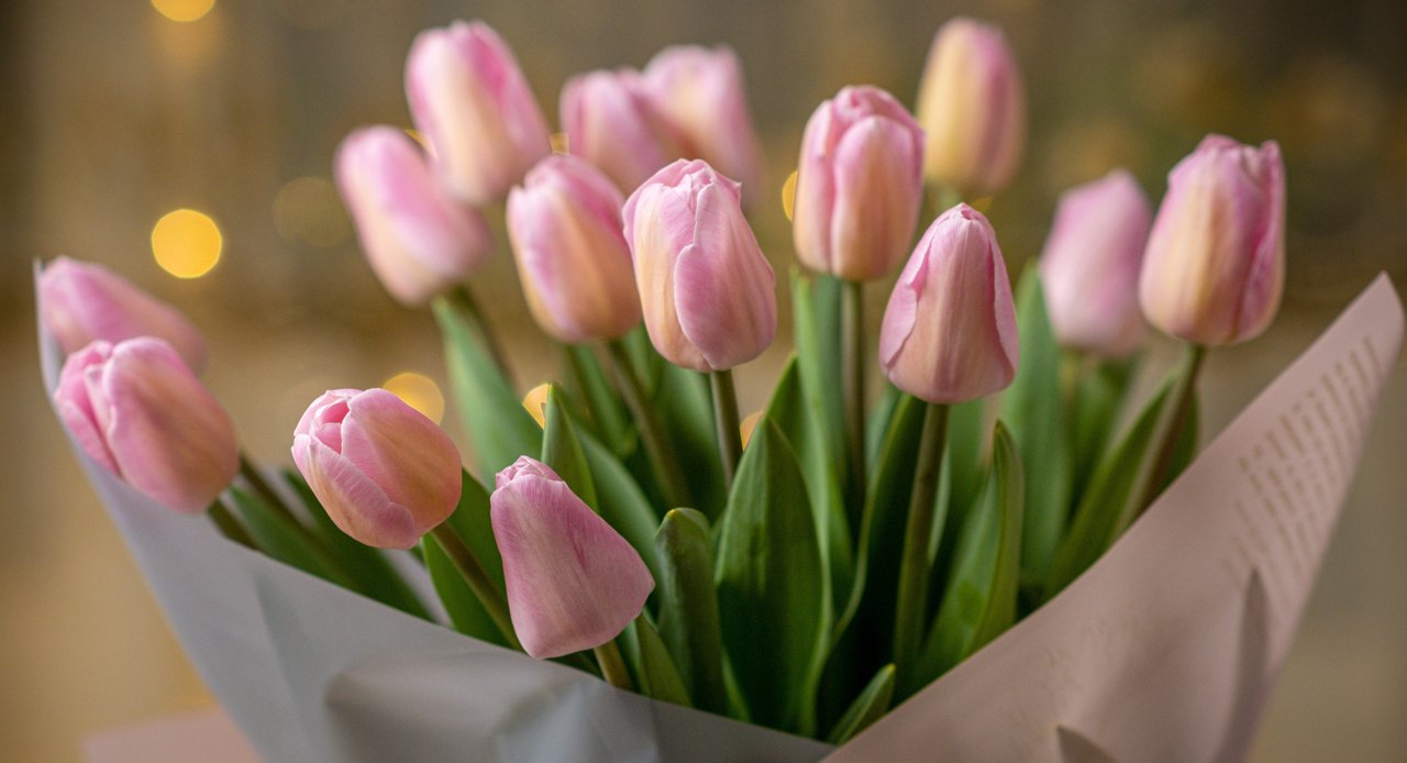 Un hermoso ramo de tulipanes rosas, ideal para San Valentín.