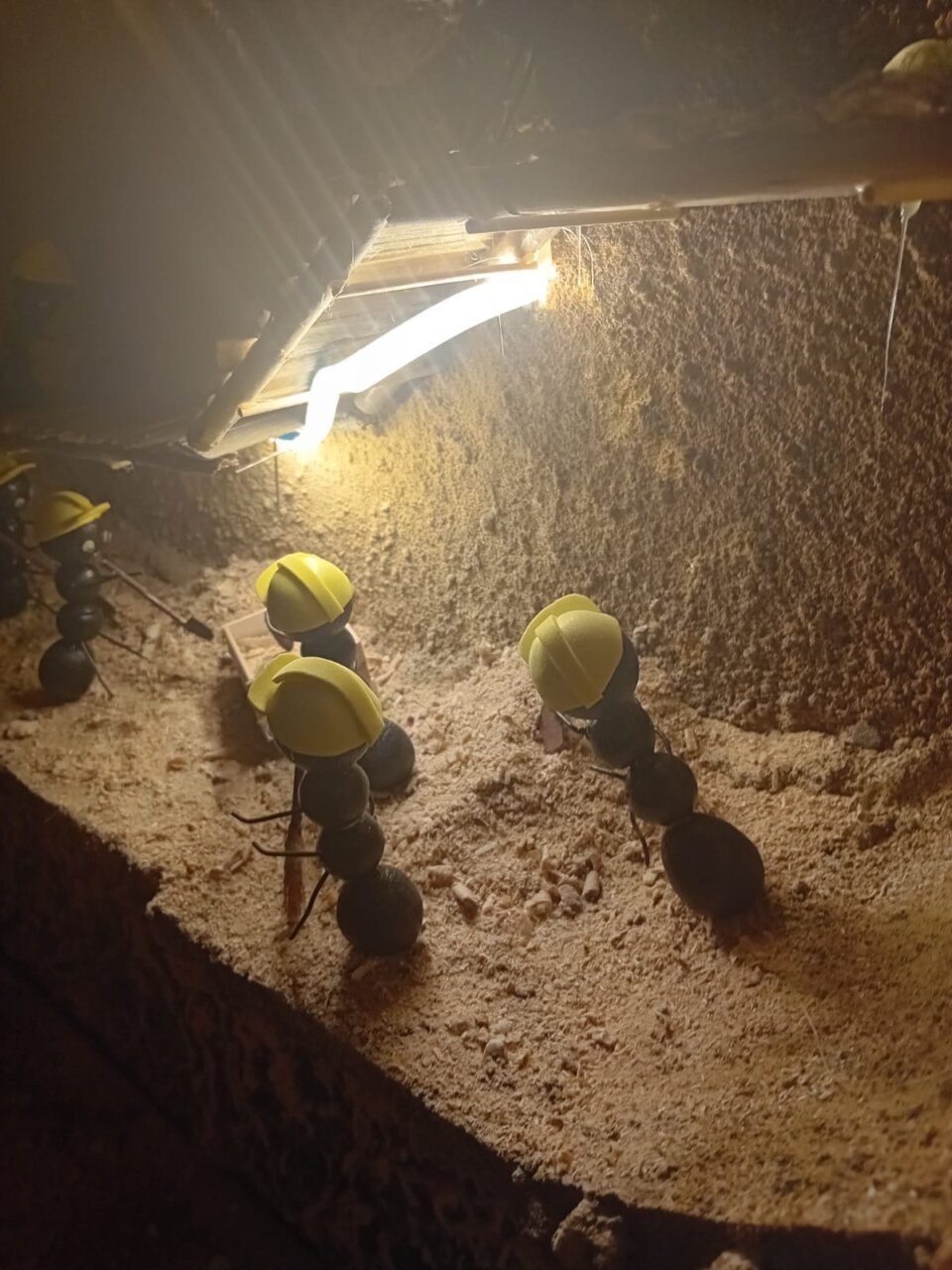 Hormiguelen Falla Luis Lamarca Velazquez