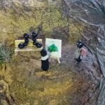 Hormiguelen Falla Luis Lamarca Velazquez