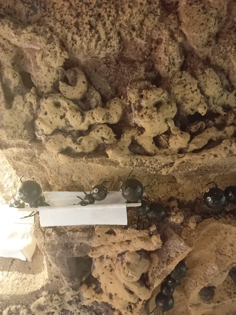 Hormiguelen Falla Luis Lamarca Velazquez