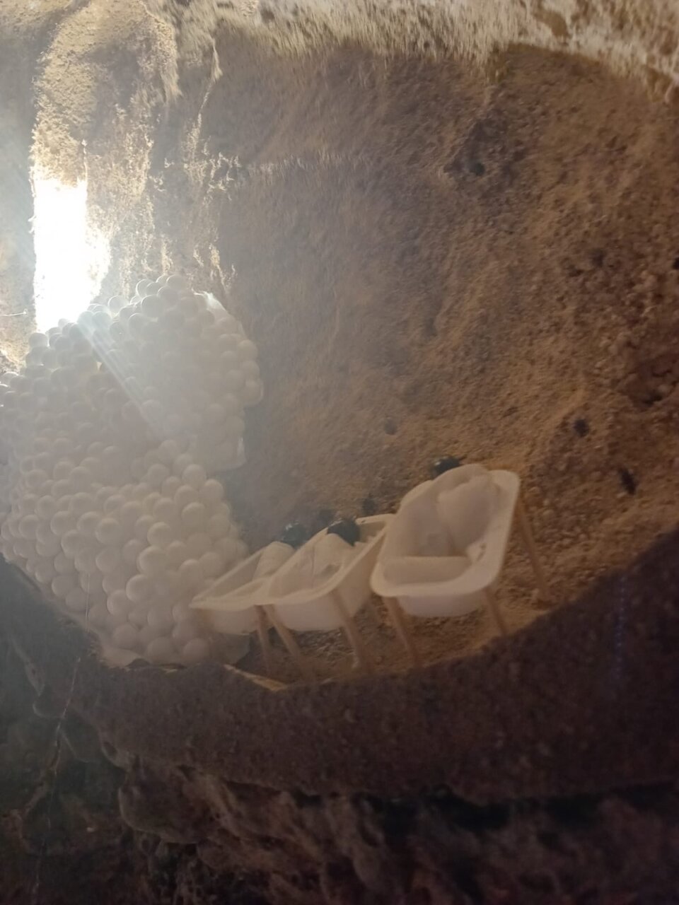 Hormiguelen Falla Luis Lamarca Velazquez