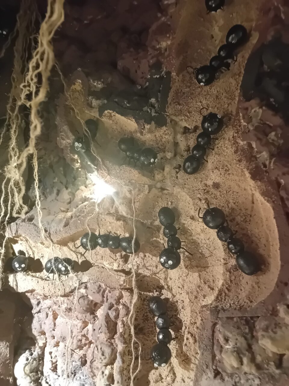 Hormiguelen Falla Luis Lamarca Velazquez