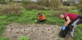 Personas trabajando en el huerto de mariposas en Massamagrell