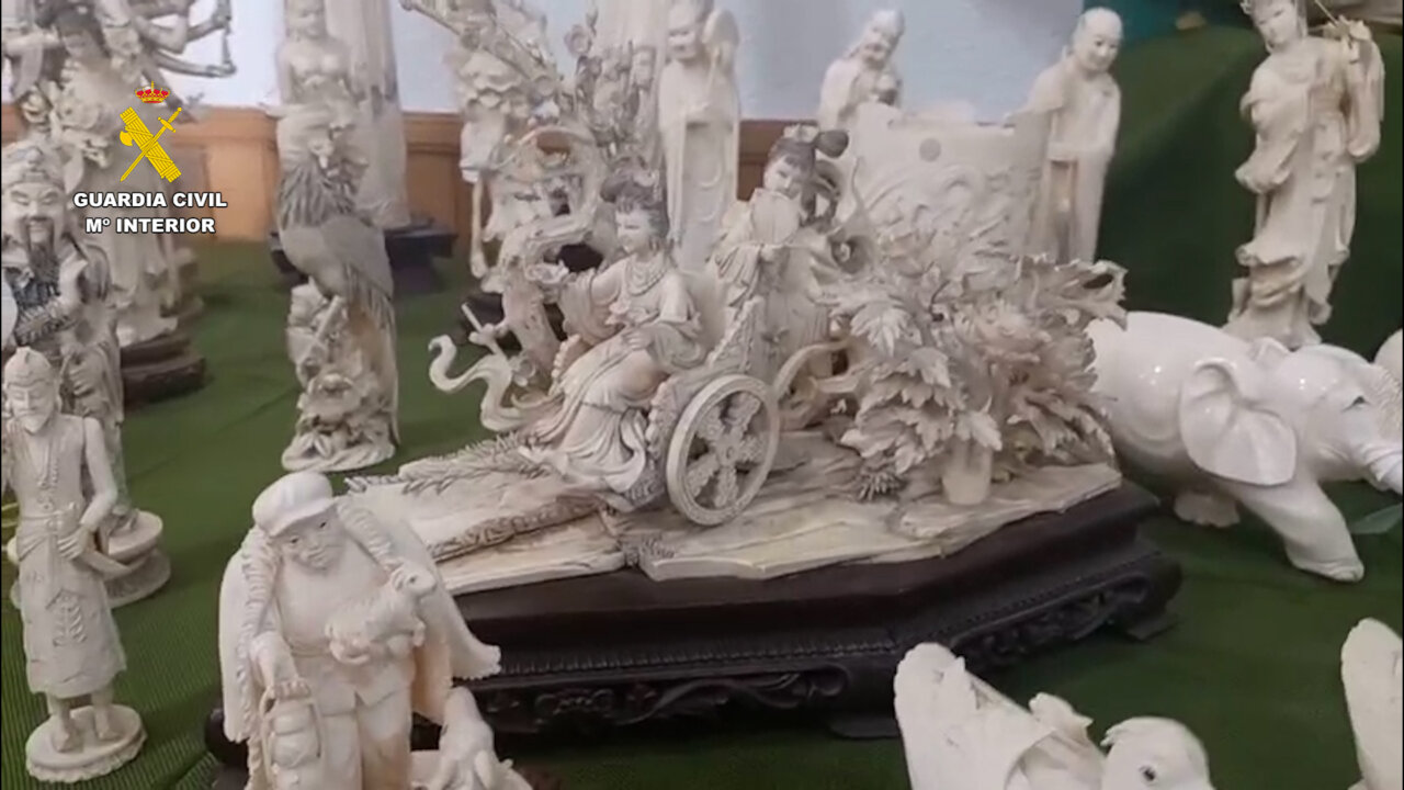 operacion marfil guardia civil valencia operacion marfil guardia civil valencia