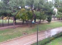 El Ayuntamiento de Valencia mantiene cerrados los jardines de la ciudad por la alerta roja Vista del jardín del Turia cerrado por lluvias en Valencia