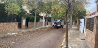 Vehículo de limpieza en una calle de Picanya con hojas caídas