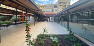 Vista del patio interior del Mercat del Grau en Valencia