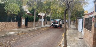 Vehículo de limpieza en una calle de Picanya con hojas caídas