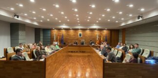 Reunión del pleno del Ayuntamiento de Torrent sobre accesibilidad