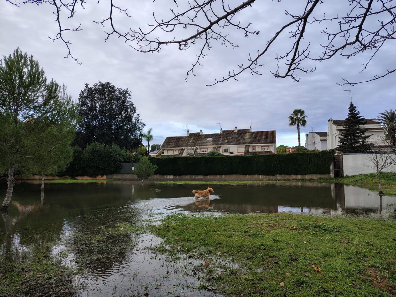 Los vecinos de La Canyada enfrentan problemas de inundaciones tras las lluvias.
