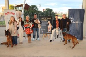 Torrent será sede de exposiciones caninas el 13 y 14 de diciembre.