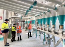 La consellera Cano destaca el peso estratégico de Dacsa en la economía valenciana en su visita a Almássera La consellera Marián Cano durante su visita a Dacsa en Almàssera