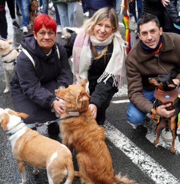Personas acariciando perros en la bendición de animales en Valencia