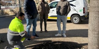 Reunión sobre desratización en Albal con funcionarios y técnicos