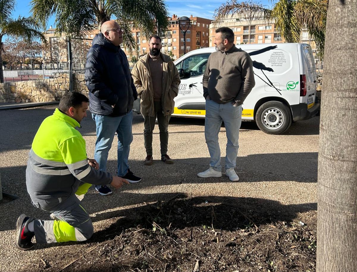Reunión sobre desratización en Albal con funcionarios y técnicos