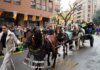 Caballos decorados en la bendición de animales en Sagunto