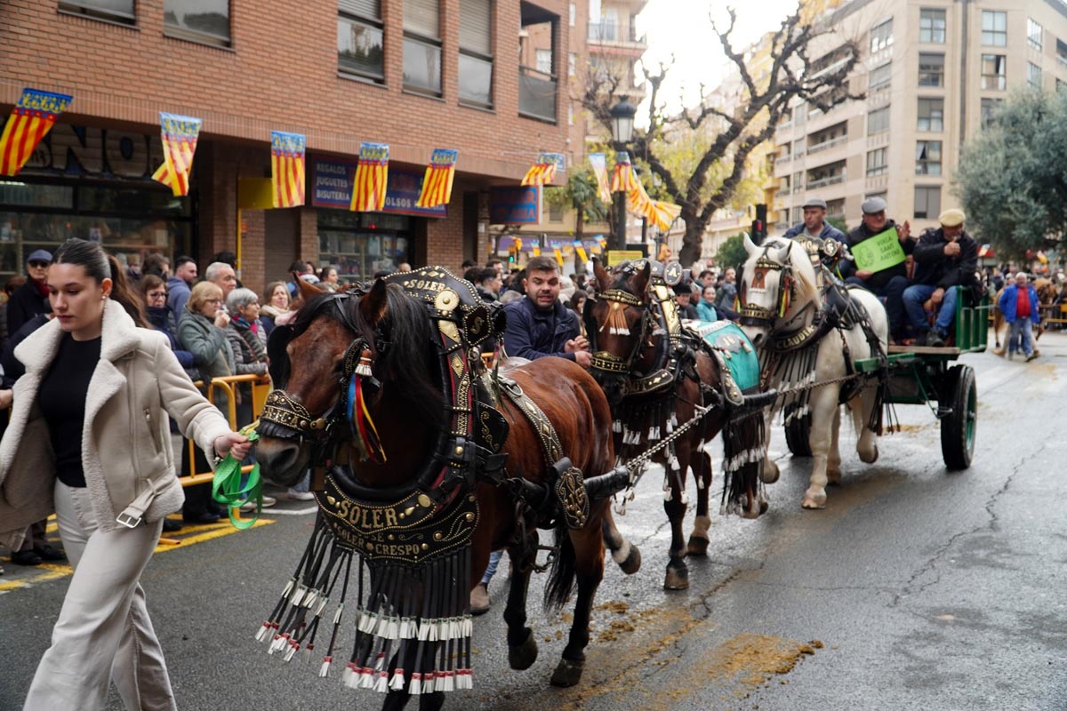 Caballos decorados en la bendición de animales en Sagunto