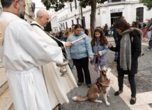 El acto de bendición de mascotas se celebró en la Plaza del Pueblo de Paterna.