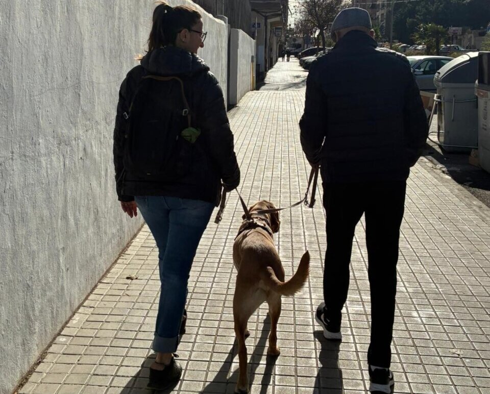 Pareja caminando con un perro en Burjassot