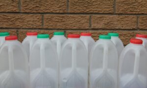 Botellas de plástico blancas con tapas de colores en una pared de ladrillo