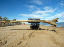 La Diputación adelanta la limpieza de las playas reforzando el servicio en la costa de la comarca de l’Horta Máquina retirando tronco de la playa durante limpieza en Valencia