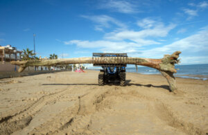 Máquina retirando tronco de la playa durante limpieza en Valencia