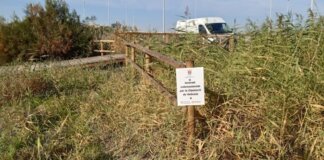 Acceso a la playa de Massalfassar con valla y puente de madera renovados