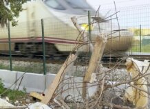 Estado de abandono del parque en la calle Senia en Alfafar