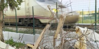 Estado de abandono del parque en la calle Senia en Alfafar