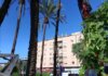 Intervención de emergencia para talar una palmera con riesgo de caída en Massanassa