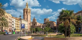 Vista de la ciudad de Valencia con edificios y palmeras