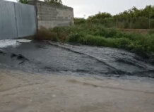 Acció Ecologista-Agró denuncia vertidos de aguas residuales al barranco del Realón desde el polígono de Alcàsser Denuncia de vertidos incontrolados al barranco del Realón en Alcàsser.