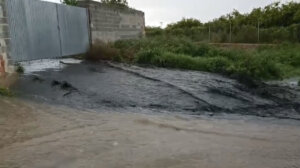 Denuncia de vertidos incontrolados al barranco del Realón en Alcàsser.