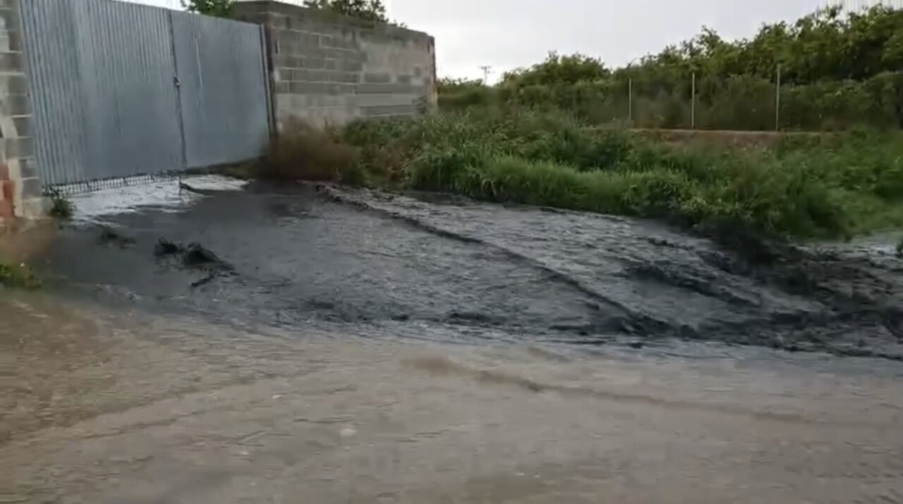 Denuncia de vertidos incontrolados al barranco del Realón en Alcàsser.