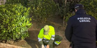 El Ayuntamiento de Almàssera refuerza el programa ADN Canino para mejorar la limpieza urbana.