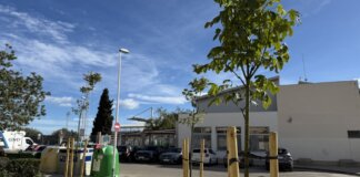 Nuevo árbol plantado en Alfara del Patriarca con cielo azul