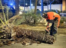 Emergencias advierte de viento extremo el fin de semana y mantiene cerrados parques y actividades al aire libre a l’Horta Un trabajador corta un árbol caído en la calle tras fuertes vientos en Torrent.