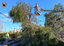 Operarios trabajando en la vía de Cercanías tras la caída de un árbol
