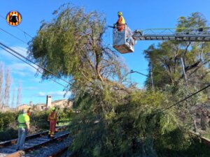 Operarios trabajando en la vía de Cercanías tras la caída de un árbol