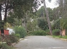 Emergencias refuerza la seguridad ante la reactivación de vientos de 80 km/h que pone en riesgo estructuras y arbolado Calle afectada por caída de ramas y árboles en l'Horta Nord