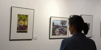 Persona observando fotografías en una exposición de QLICK