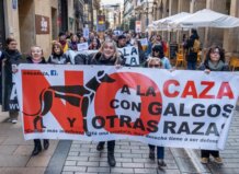 Manifestación en Valencia contra la caza de perros galgos y otras razas.