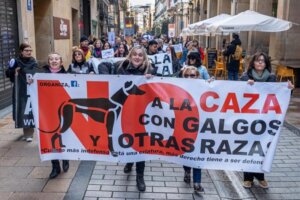Manifestación en Valencia contra la caza de perros galgos y otras razas.