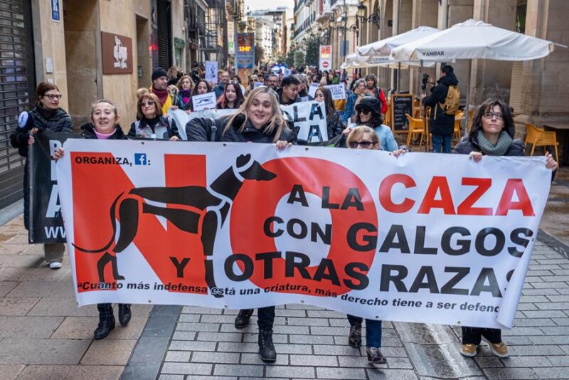 Manifestación en Valencia contra la caza de perros galgos y otras razas.